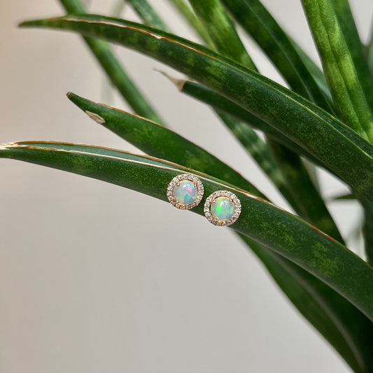 14K Rose Gold Opal and Diamond Halo Earrings