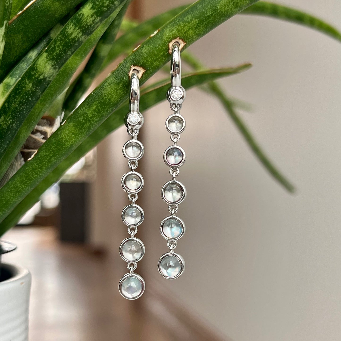 14K White Gold Moonstone Dangle Earrings