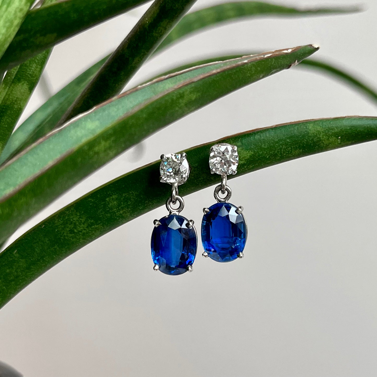 14K White Gold Kyanite and Diamond Dangle Earrings