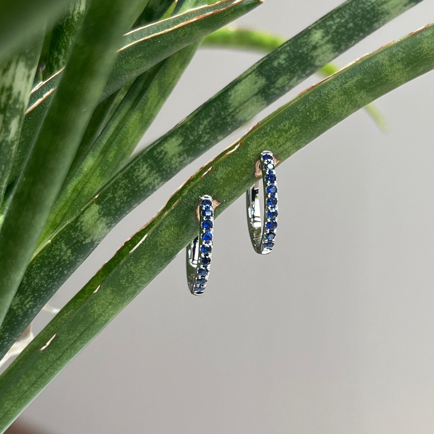 14K White Gold Sapphire "Huggie" Hoop Earrings