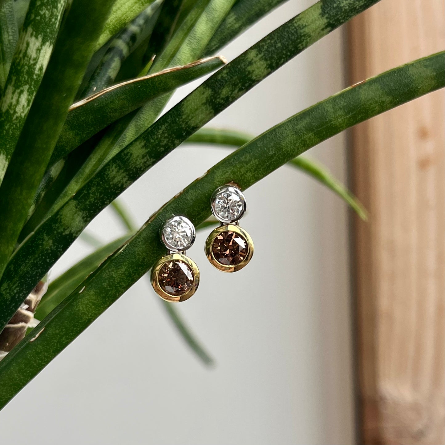 18K "Chocolate" and White Diamond Bezel Earrings 2.18CTW