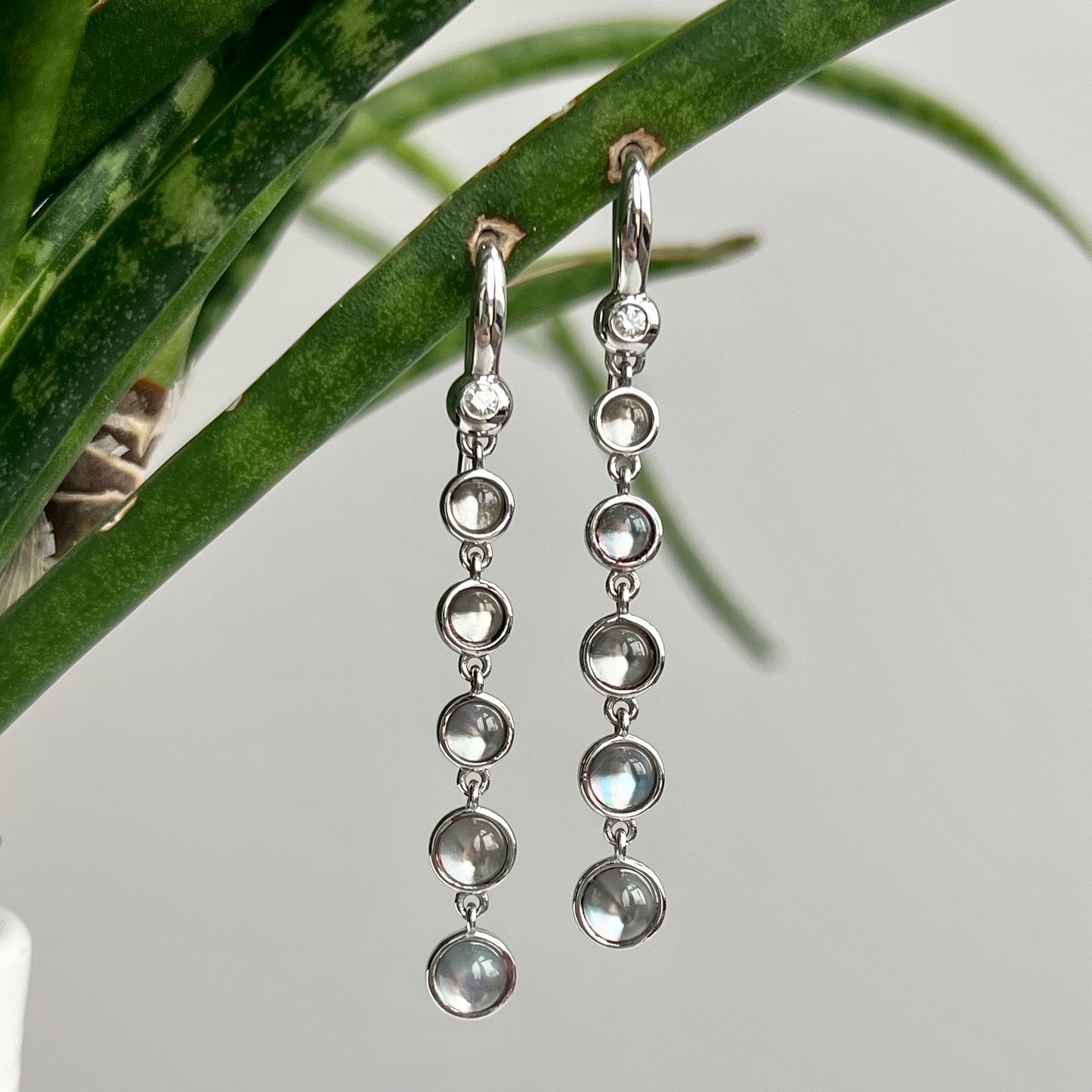 14K White Gold Moonstone Dangle Earrings