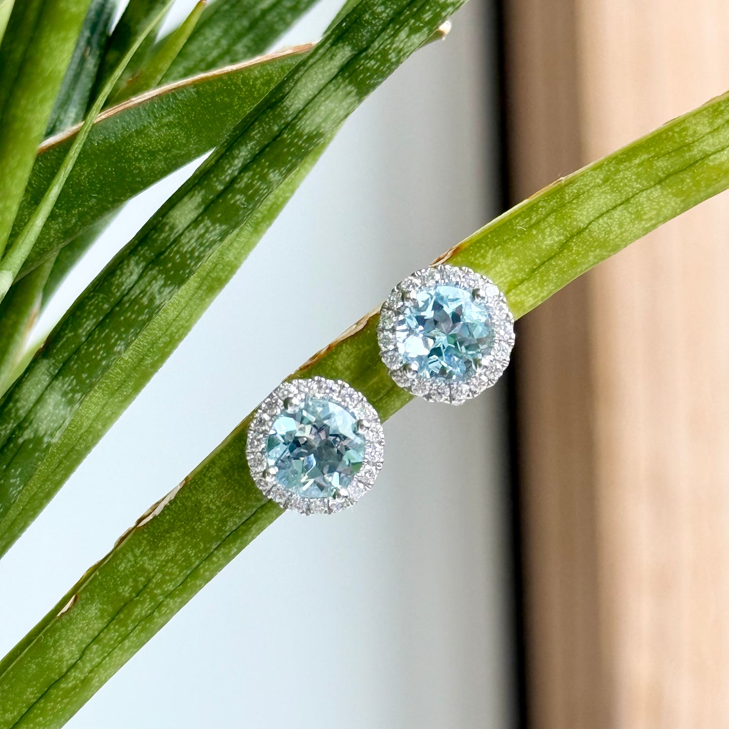 14K White Gold Aquamarine and Diamond Halo Earrings