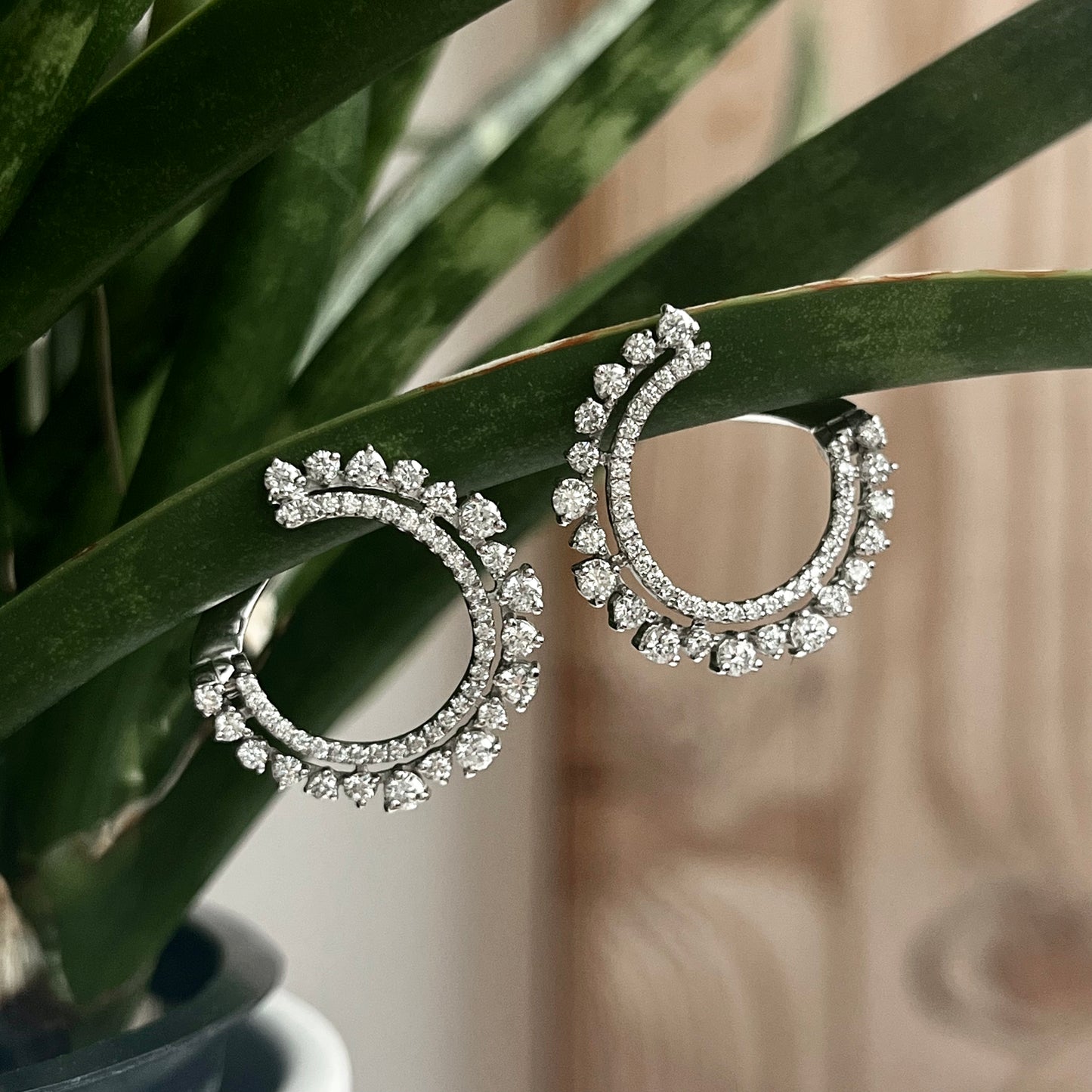 14K White Gold Scattered Double Row Frong Hoop Diamond Earrrings